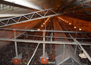 Foto 14 - Capannone Spigno Monferrato - foto 14