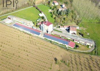 Foto 18 - Capannone Spigno Monferrato - foto 18