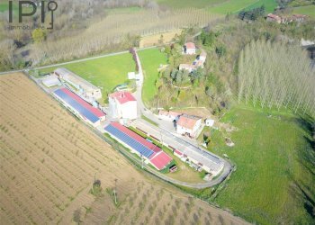 Foto 19 - Capannone Spigno Monferrato - foto 19