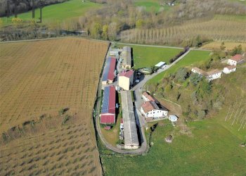 Foto 20 - Capannone Spigno Monferrato - foto 20