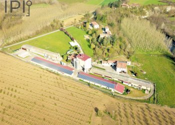 Foto 23 - Capannone Spigno Monferrato - foto 23