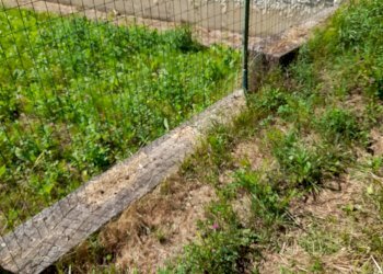 Foto 15 - Casa semi indipendente Lodisio, Piana Crixia - foto 15