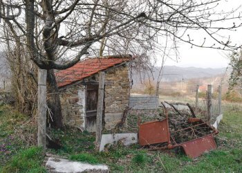 Foto 12 - Rustico Dego - foto 12