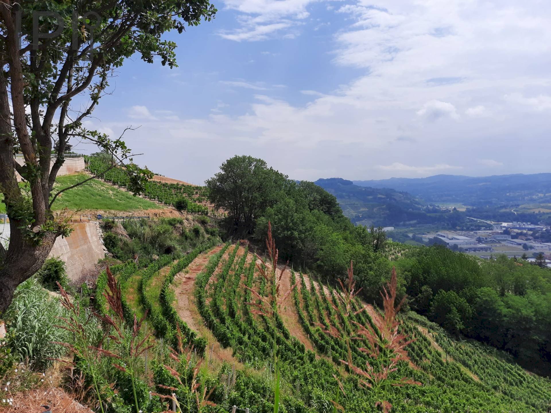 Foto 2 - Villa località ceretto, Santo Stefano Belbo - foto 2