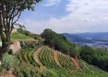 Foto 2 - Villa località ceretto, Santo Stefano Belbo - foto 2