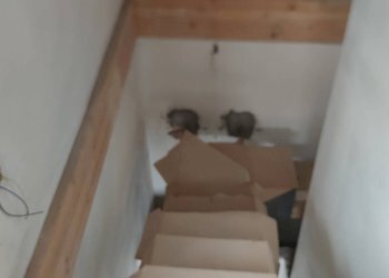 Foto 12 - Villa località ceretto, Santo Stefano Belbo - foto 12