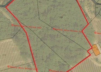 Foto 28 - Villa località ceretto, Santo Stefano Belbo - foto 28