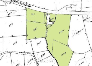 Foto 55 - Villa strada provinciale 224, Bistagno - foto 55