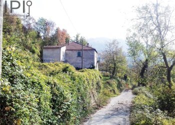 vista esterna - Rustico frazione sugliani Sugliani, Dego - foto 9