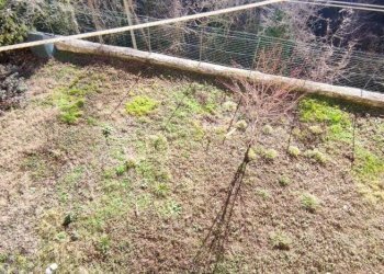 Foto 7 - Casa indipendente Marghero
2, Cosseria - foto 7