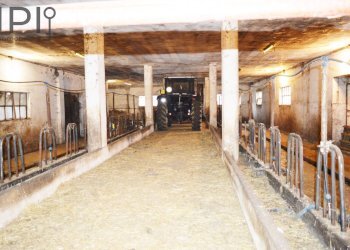 Foto 28 - Rustico strada carnovale
 
59, Cairo Montenotte - foto 28