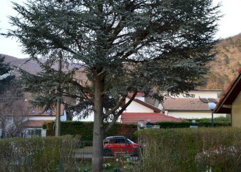 Foto 23 - Villa via don spertino
 
6, Pontinvrea - foto 23