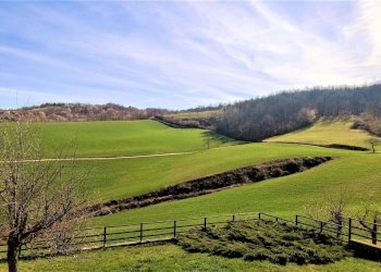 Foto 19 - Villa a Schiera Sale delle Langhe - foto 19