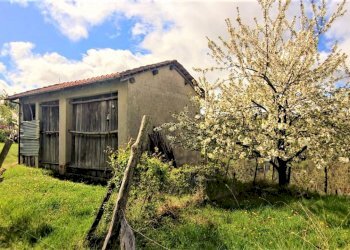 Foto 11 - Rustico frazione san massimo, Piana Crixia - foto 11