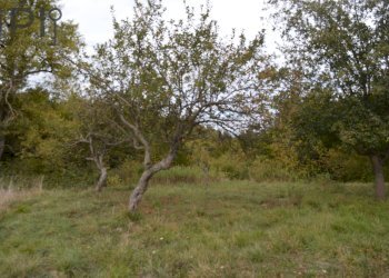 Foto 42 - Casa indipendente località pratiproia, Giusvalla - foto 42