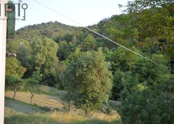 Foto 7 - Rustico località Tavola, Dego - foto 7