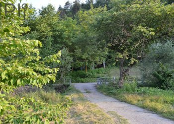 Foto 9 - Rustico località Tavola, Dego - foto 9