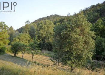 Foto 21 - Rustico località Tavola, Dego - foto 21