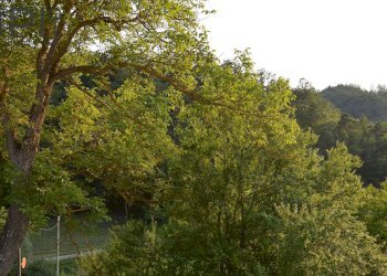 Foto 33 - Rustico località Tavola, Dego - foto 33