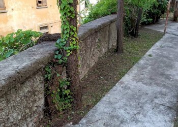 Foto 2 - Trilocale Via Roma
 
5, Spigno Monferrato - foto 2