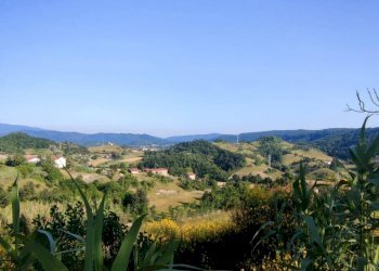 Foto 10 - Rustic Loc Sorba
 
3, Pareto - photo 10