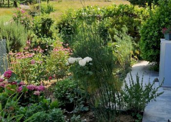 Foto 24 - Casa indipendente Loc. Bricco, Saliceto - foto 24