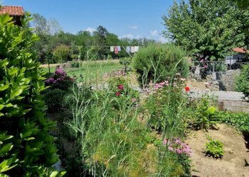 Foto 25 - Casa indipendente Loc. Bricco, Saliceto - foto 25