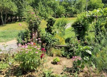 Foto 28 - Casa indipendente Loc. Bricco, Saliceto - foto 28