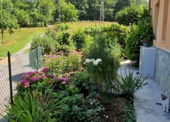 Foto 30 - Casa indipendente Loc. Bricco, Saliceto - foto 30