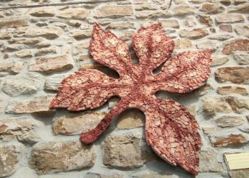 Foto 31 - Casa semi indipendente Via Roma
 
16, Bergolo - foto 31