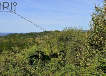 Foto 30 - Rustico località scaiole, Spigno Monferrato - foto 30