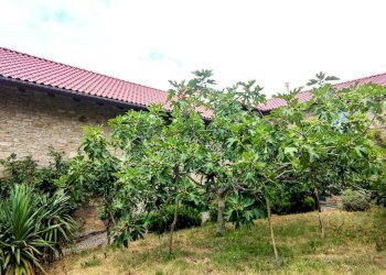 Foto 9 - Villa località san gerolamo, Roccaverano - foto 9