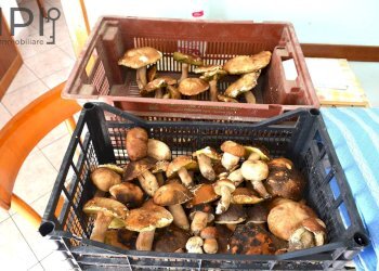 Foto 27 - Casa indipendente Montaldo di Mondovì - foto 27