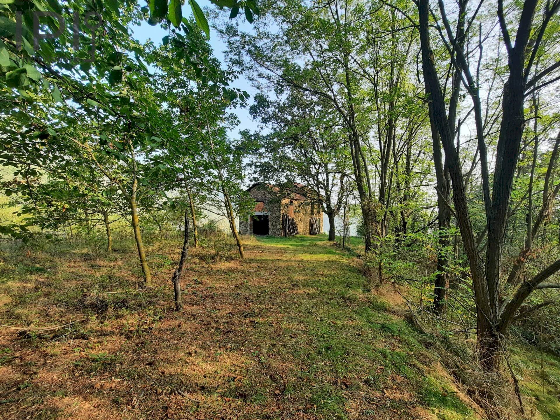 Foto 3 - Rustico montechiaro alto, Montechiaro d'Acqui - foto 3