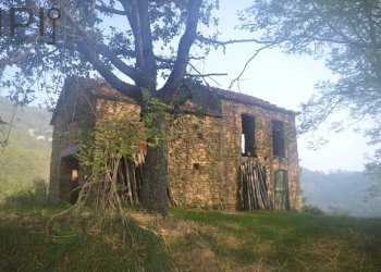 Foto 1 - Rustico montechiaro alto, Montechiaro d'Acqui - foto 1