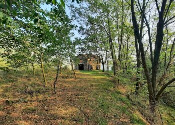 Foto 3 - Rustico montechiaro alto, Montechiaro d'Acqui - foto 3