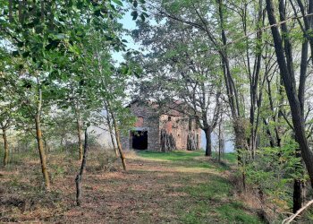 Foto 8 - Rustico montechiaro alto, Montechiaro d'Acqui - foto 8