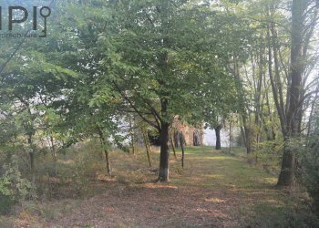 Foto 10 - Rustico montechiaro alto, Montechiaro d'Acqui - foto 10