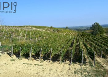 vigneto e panorama - Rustico Loc Pissarotta
 
1, Strevi - foto 51