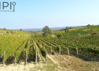 vigneto e panorama - Rustico Loc Pissarotta
 
1, Strevi - foto 52