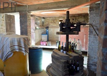 seminterrato cantine - Rustico Loc Pissarotta
 
1, Strevi - foto 70