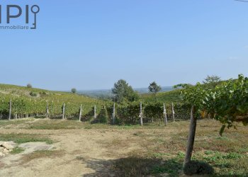 vigneto - Rustico Loc Pissarotta
 
1, Strevi - foto 73