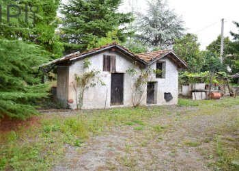 Foto 29 - Rustico frazione palareta, Rocchetta Palafea - foto 28