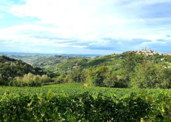 vista panorama - Rustico frazione palareta, Rocchetta Palafea - foto 67