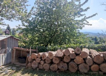 Foto 26 - Villa Murazzano - foto 26