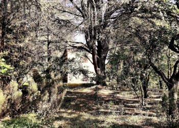 Foto 46 - Villa località poggiolo
 
25, Castelletto Uzzone - foto 46