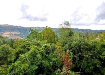 Foto 44 - Rustico regione oltrebormida, Ponti - foto 44