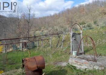 Foto 47 - Rustico località cucca, Dego - foto 47