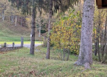 Foto 12 - Casa indipendente Sassello - foto 12