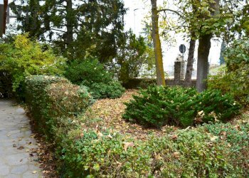 Foto 50 - Villa Mombarcaro - foto 50